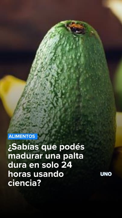 ¿Sabías que podés madurar una palta dura en solo 24 horas usando ciencia?