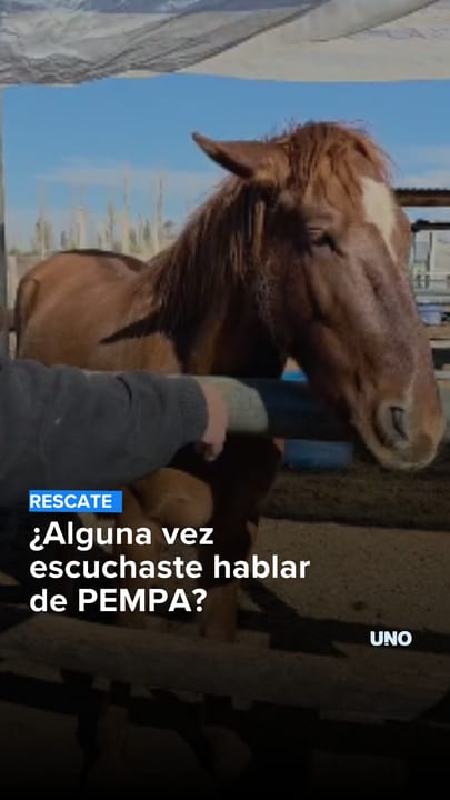 ¿Alguna vez escuchaste hablar de PEMPA?