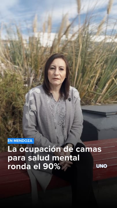 La ocupación de camas para salud mental en Mendoza ronda el 90%