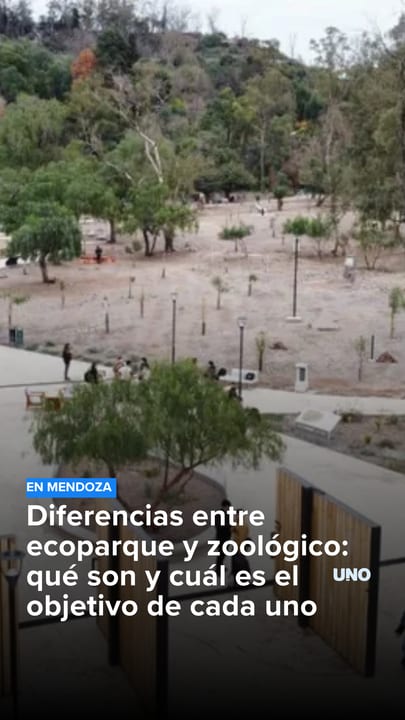 Diferencias entre ecoparque y zoológico: qué son y cuál es el objetivo de cada uno