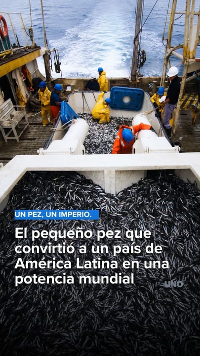 El pequeño pez que convirtió a un país de América Latina en una potencia mundial