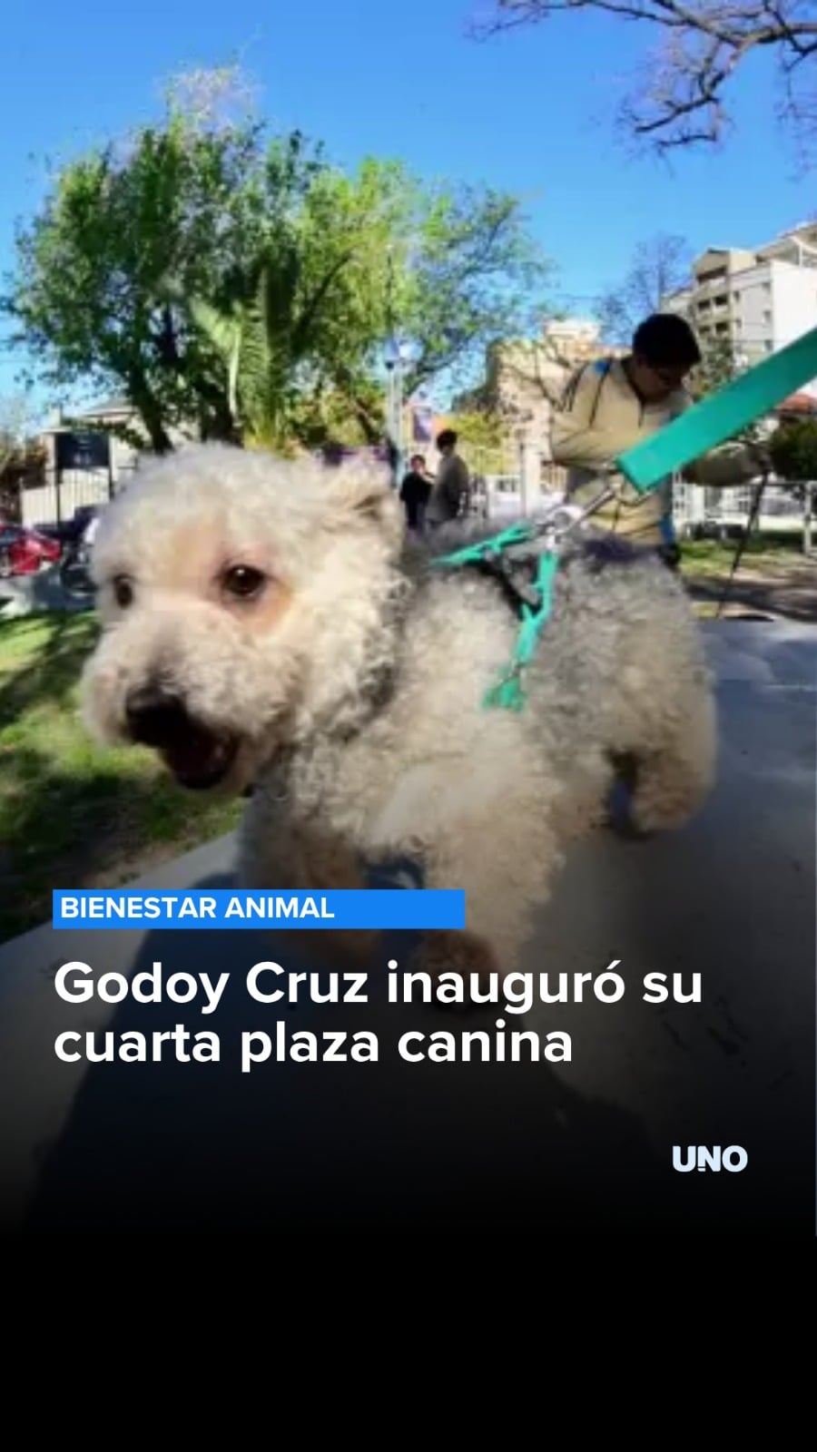 Godoy Cruz inauguró su cuarta plaza canina