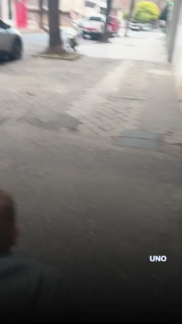 Furor en redes por un nene que canta "Vamos Argentina" desde su cochecito