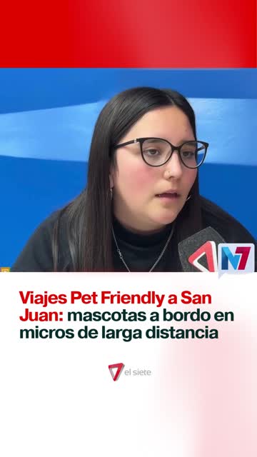 Viajes pet friendly a San Juan
