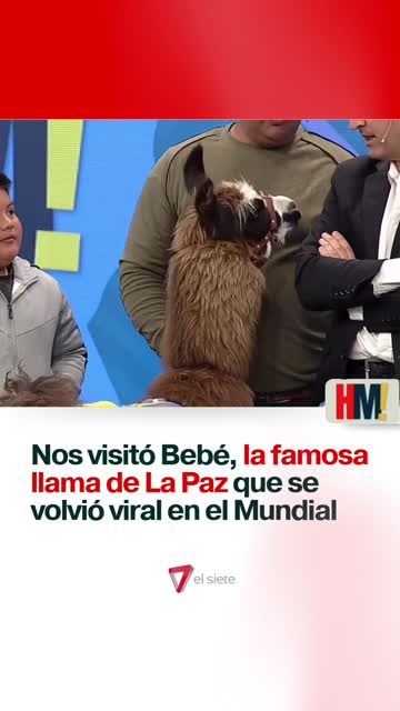 Nos visitó Bebé: la llama de La Paz que se volvió viral durante el Mundial