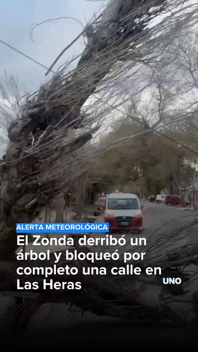 El Zonda derribó un árbol y bloqueó por completo una calle en Las Heras