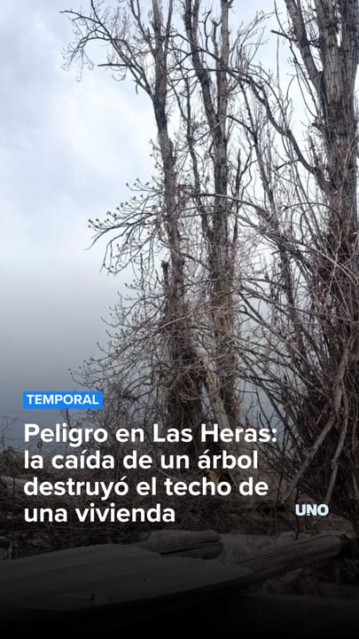 Peligro en Las Heras: la caída de un árbol destruyó el techo de una vivienda