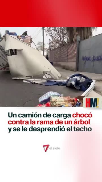 Un camión chocó contra la rama de un árbol y se le desprendió el techo