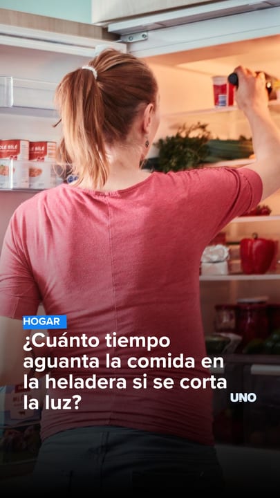 ¿Cuánto tiempo aguanta la comida en la heladera si se corta la luz?