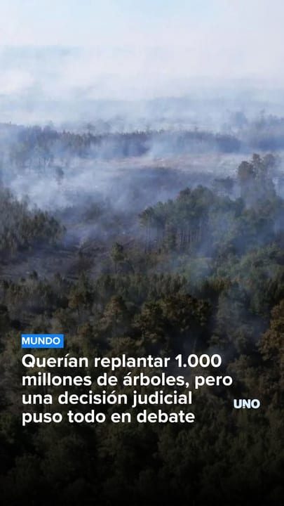 Querían replantar 1.000 millones de árboles, pero una decisión judicial puso todo en debate
