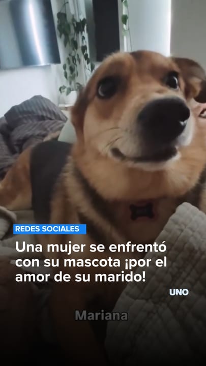 Una mujer se enfrentó con su mascota ¡por el amor de su marido!