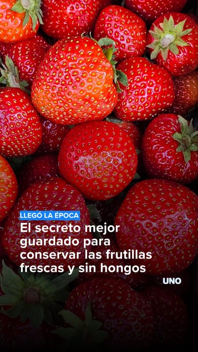 El truco definitivo para que las frutillas duren más tiempo y no se llenen de hongos