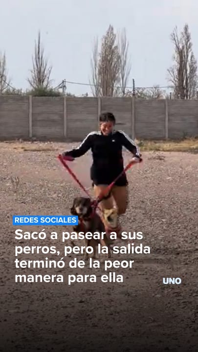 Sacó a pasear a sus perros, pero la salida terminó de la peor manera para ella