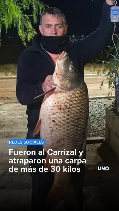 Fueron al Carrizal y atraparon una carpa de más de 30 kilos